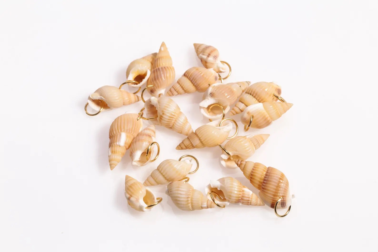 Premium Natural Mini Sea Shells (200g) for Crafts, Resin Art, and DIY Home Decor