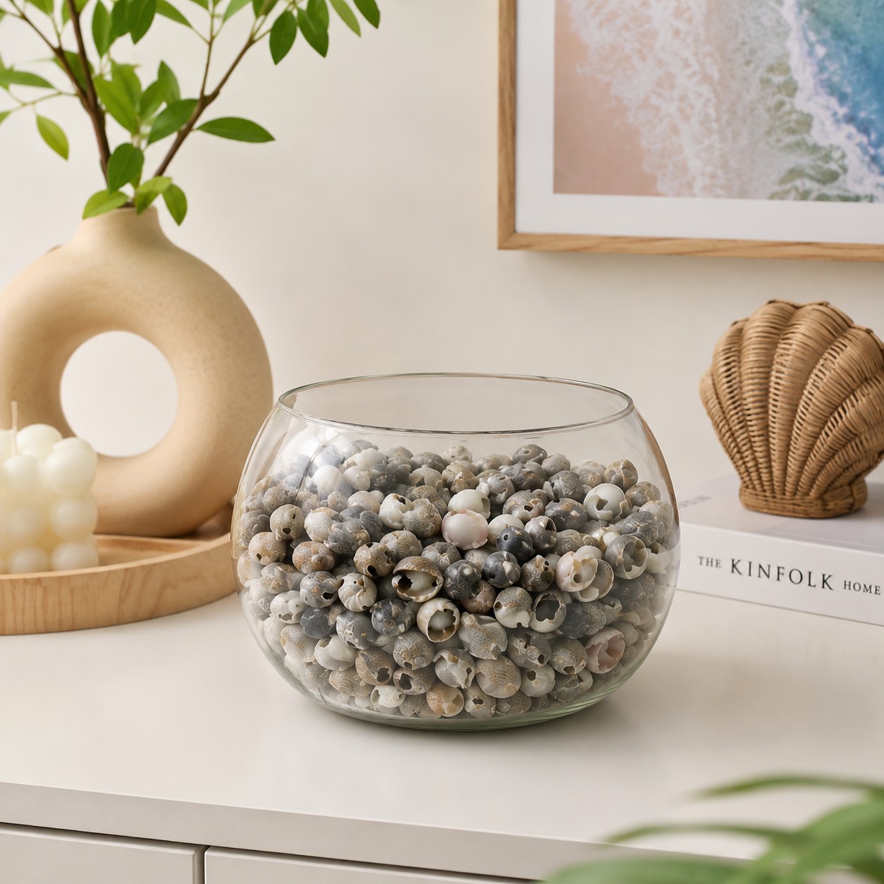 Premium Natural Baby Clam Shells (Cleansed, Dried) 200 g for Crafts, Home Decor , Aquariums — view 4