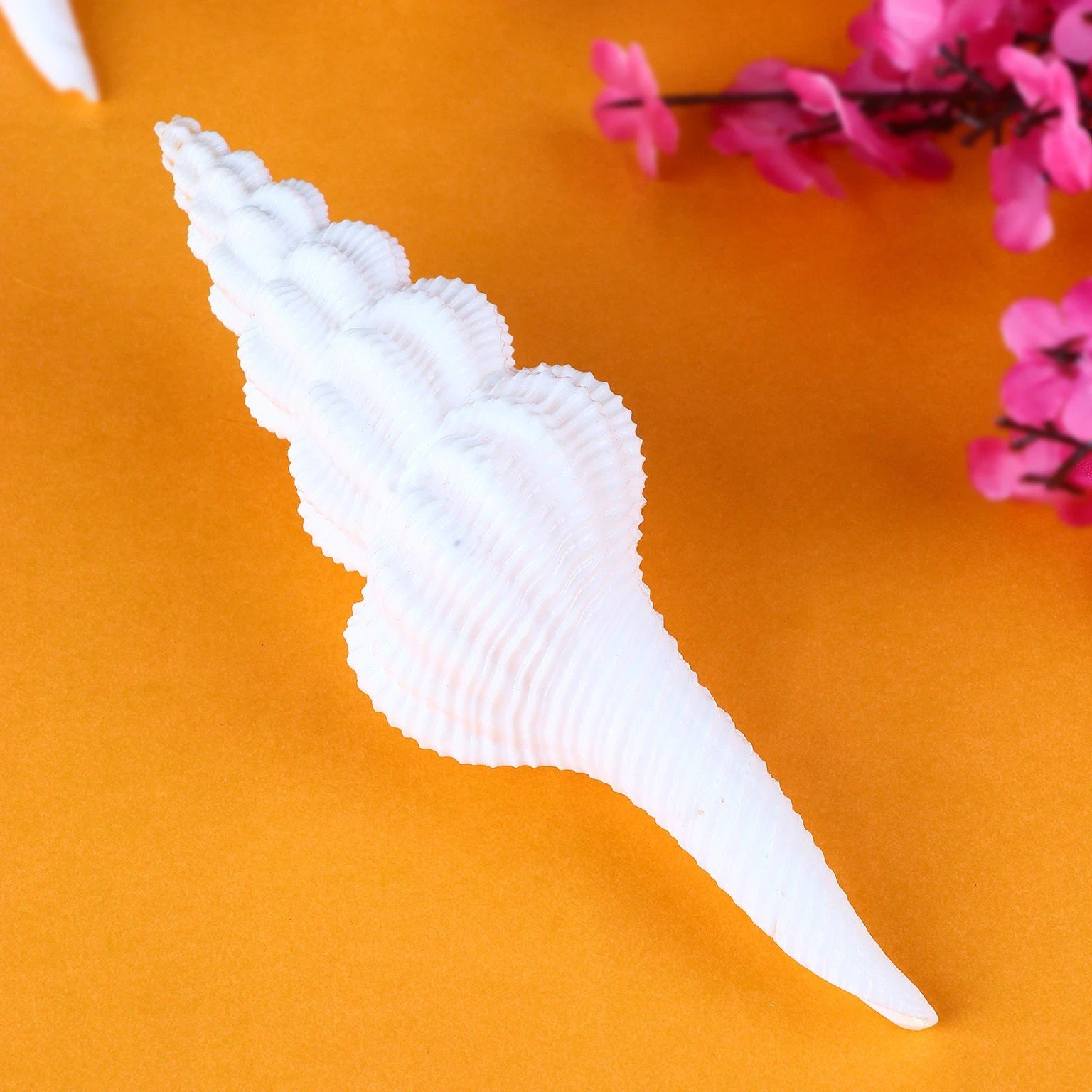 Premium White Decorative Long Non-Blowing Narayan Shankh, Spindle Sea Shell for pooja, home decor — view 2