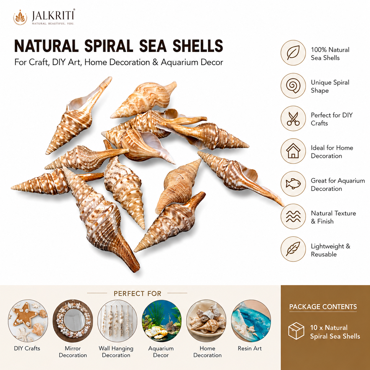 Natural Spiral Sea Shells for Craft (200 g) Home Decoration,  DIY Projects — view 3