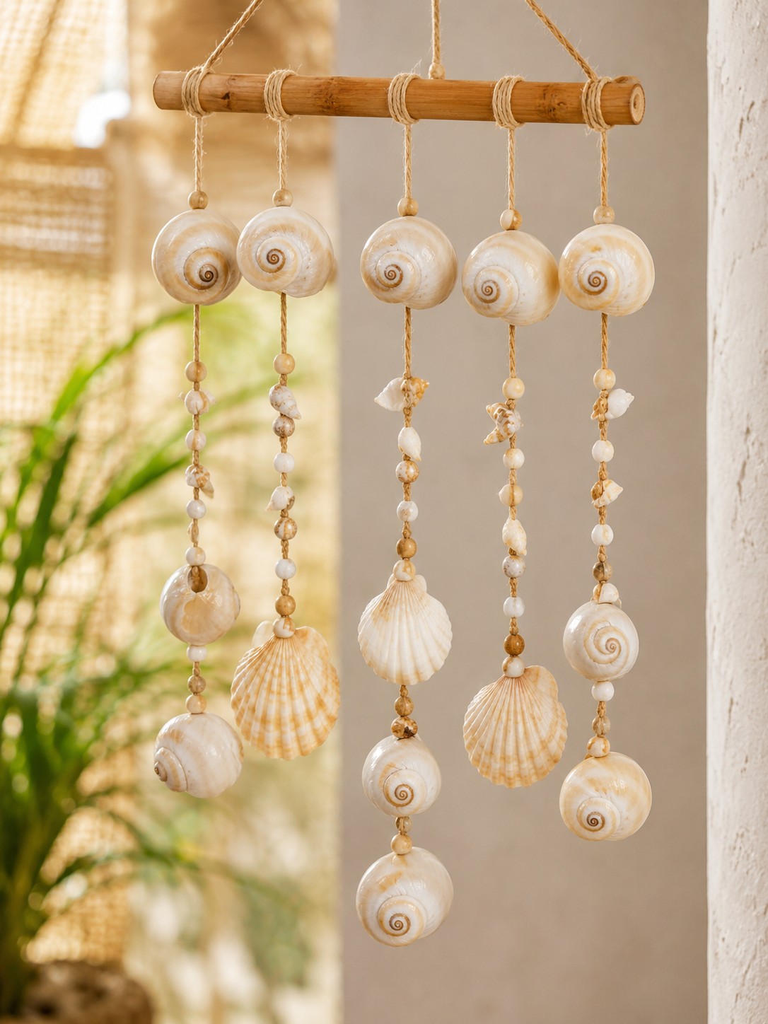 Premium Natural White Beige Spiral Sea Shells (200 g) for Home Decor , Craft — view 4