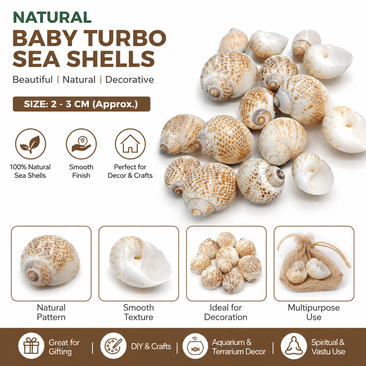 Premium Natural Baby Turbo Sea Shells (200 g) for Crafts , Decor