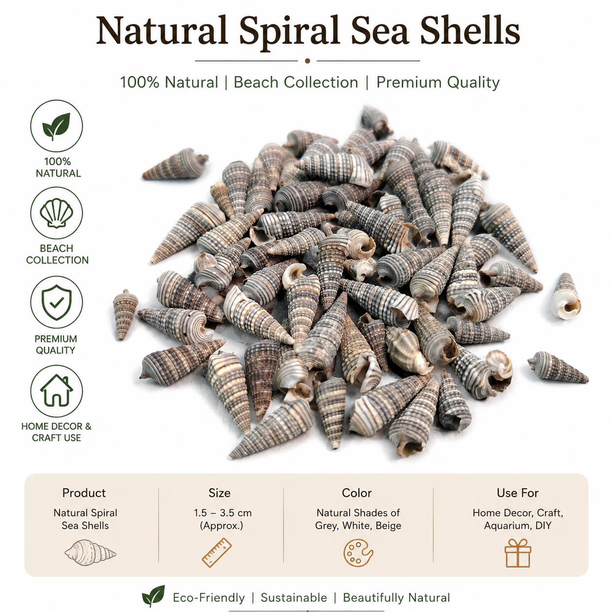 Natural Spiral Sea Shells for Crafts, Aquarium , Home Decor(200 g) — view 2