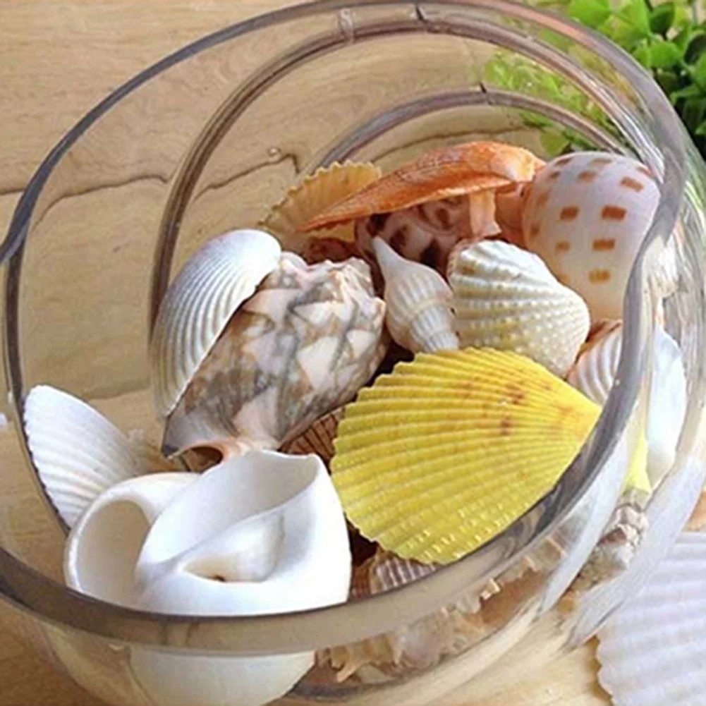 Mixed Sea shells — view 5