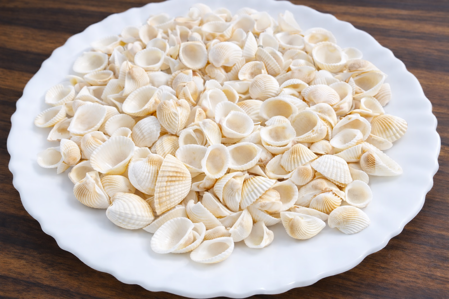 Off-white Mini Sea Shells for Aquarium , Craft Shale Unplanted Substrate  (White, 0.2 kg)